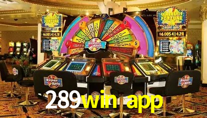 Programa VIP exclusivo da 289win app