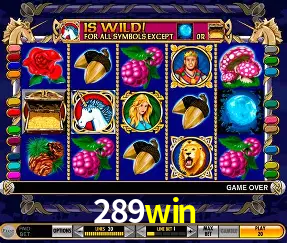 Descubra a Magia dos Jogos de Arcade no 289win